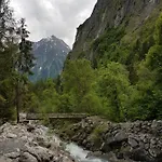 Les Lys Oranges