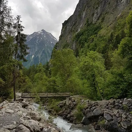 Les Lys Oranges