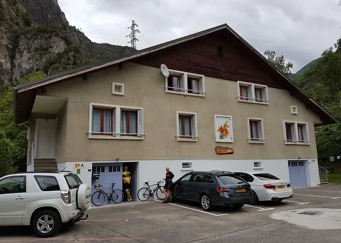 Les Lys Oranges